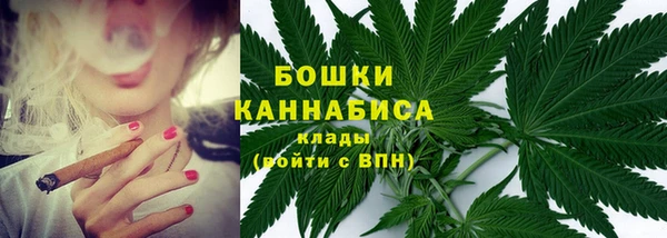 PSILOCYBIN Абдулино