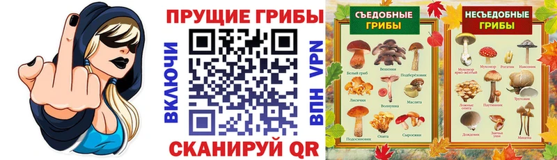 Псилоцибиновые грибы ЛСД Рязань